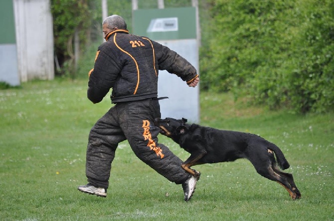 des Marais de Saint-Gratien - Ring: Epsane à la Coupe des Clubs