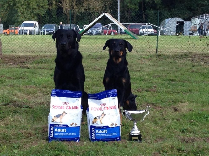 des Marais de Saint-Gratien - Ring: mère et fils en concours.