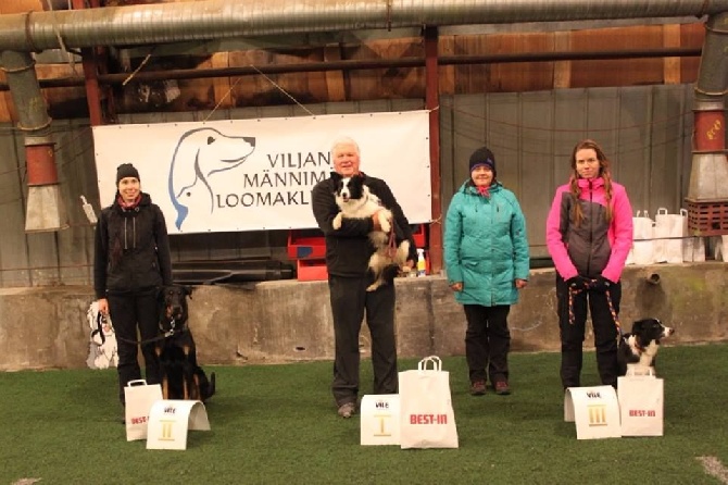 des Marais de Saint-Gratien - Agility: Basi sur le podium du jumping!